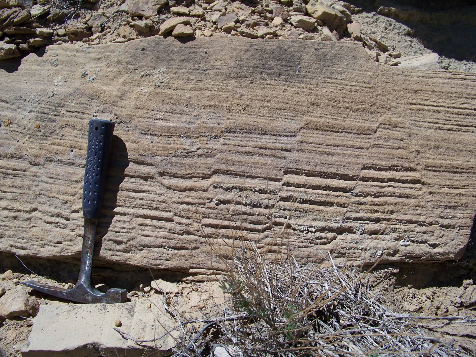 The Dynamic Earth Brittle synsedimentary deformation!