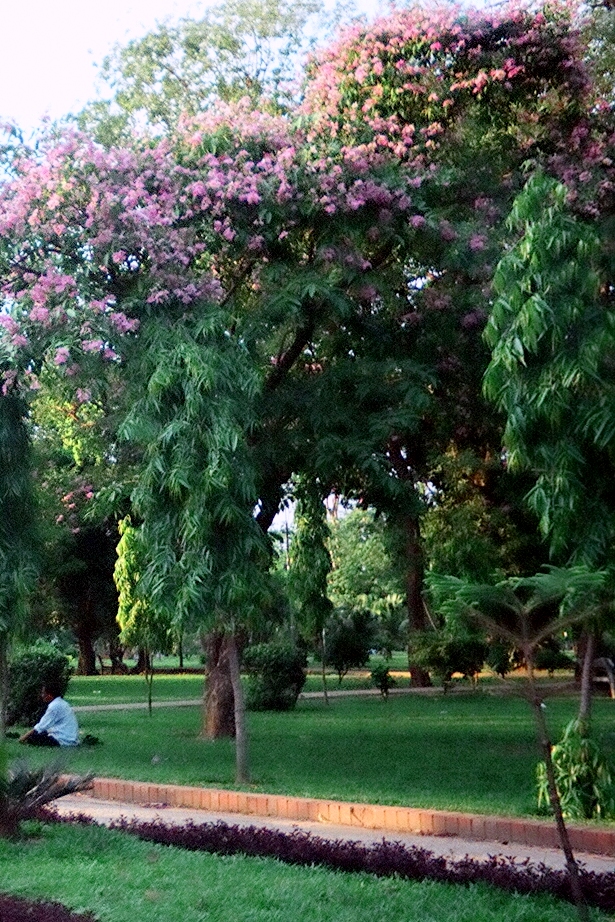Beautiful Bangladesh Baldha Garden, Dhaka