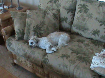 Poco Relaxing in Florida 2011