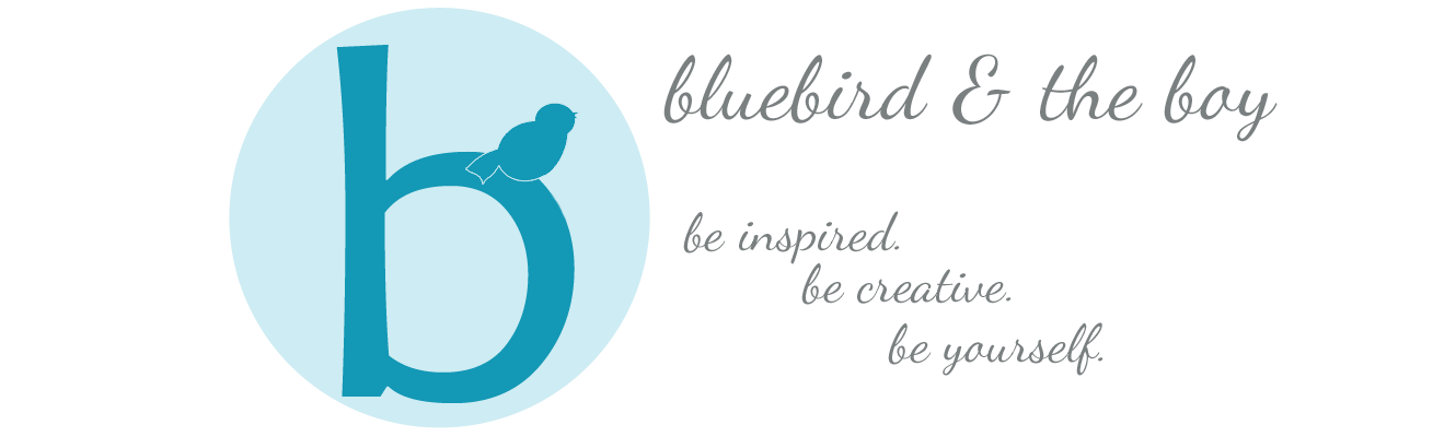 bluebird & the boy