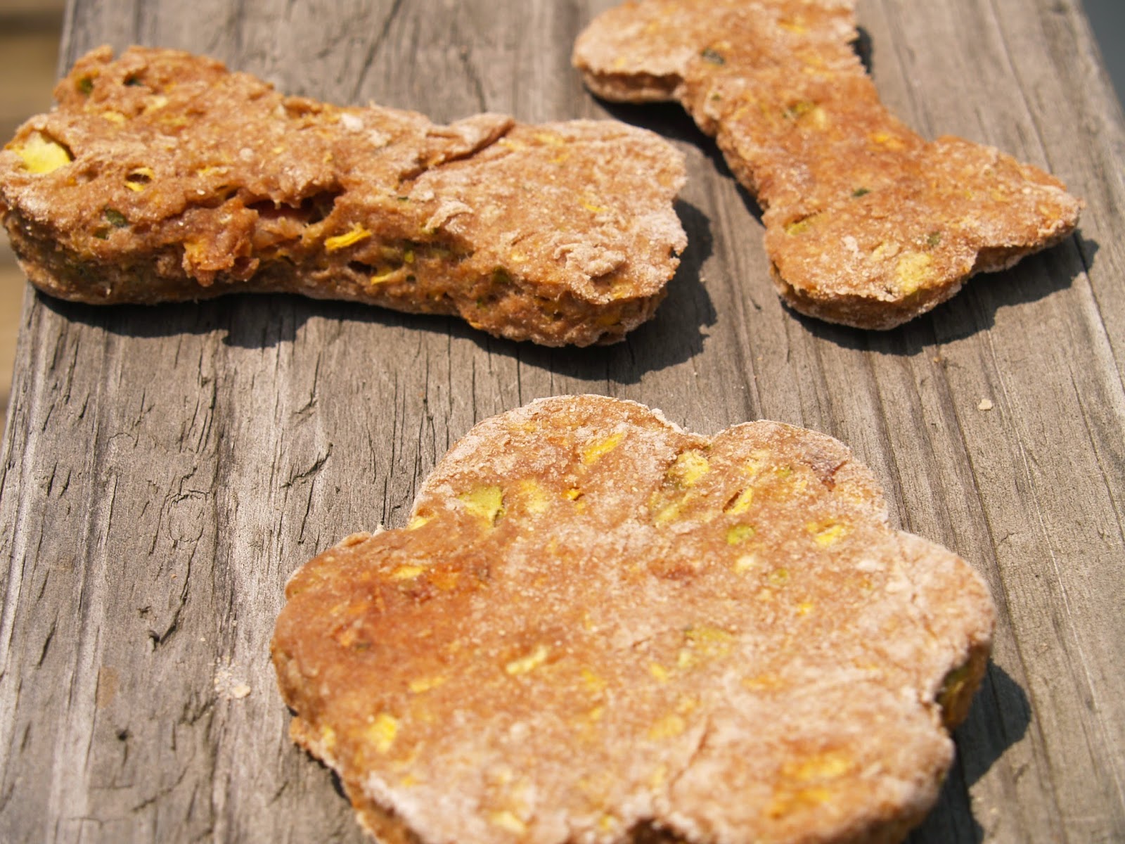 How To Cook Squash And Zucchini For Dogs at Joseph Heredia blog