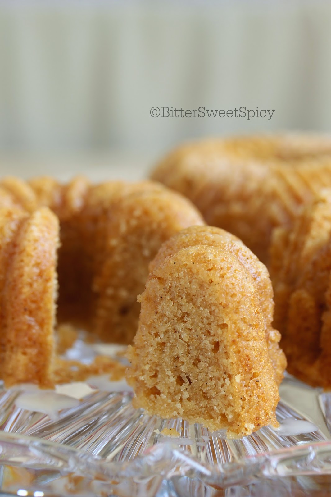 BitterSweetSpicy Vanilla Bean Malt Bundt Cake