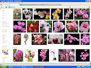 How to Extract or Leech Pictures from Google Images (search)