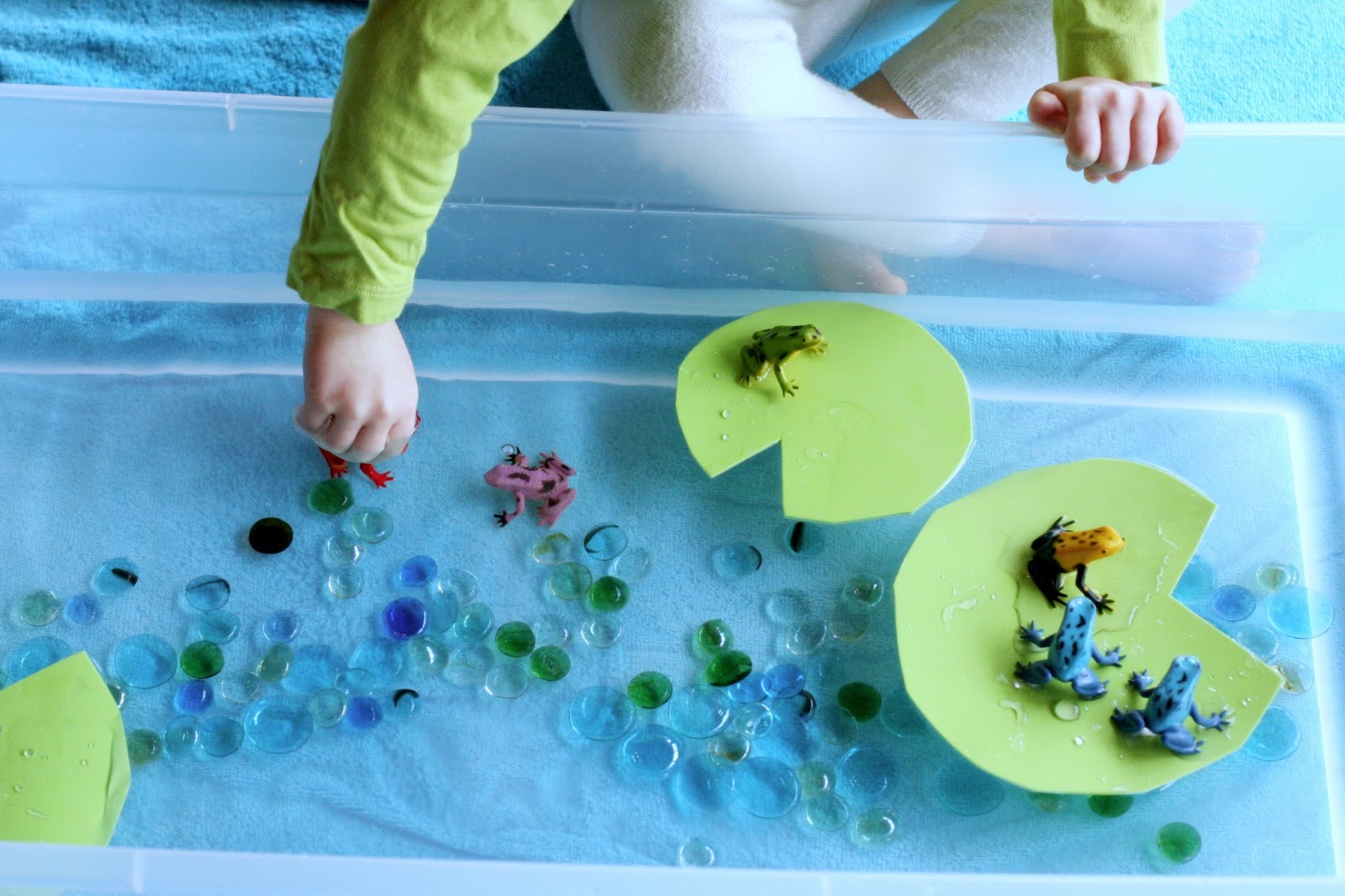 The Children's Center of CiceroBerwyn May Book of the Month Down by