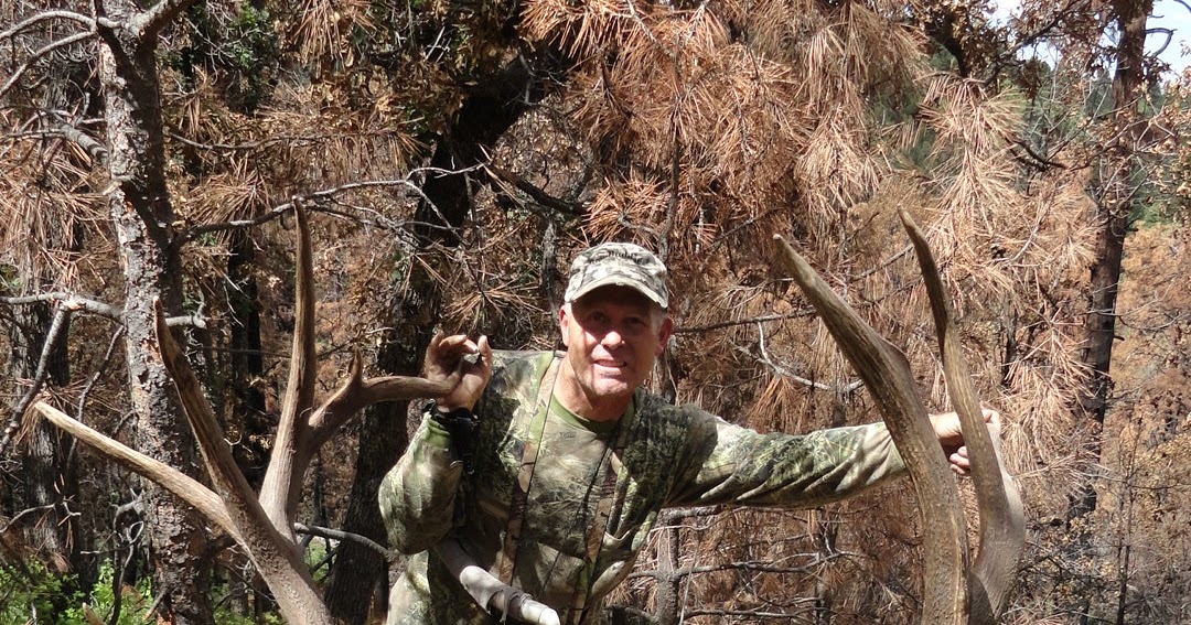 Jay Scott Outdoors Casey Brooks 447 2013 Elk