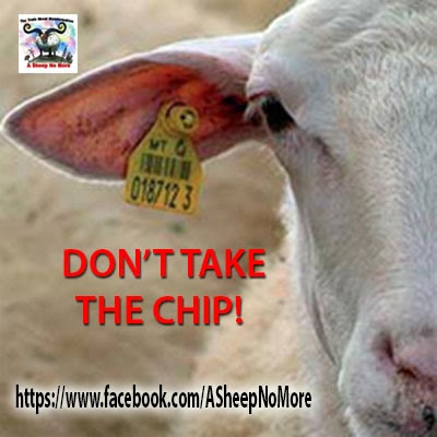 Human Microchip Implant