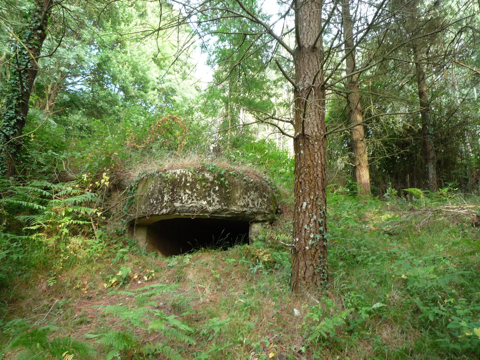 Raimon Cinturon de hierro de Güeñes.( guerra civil Española )
