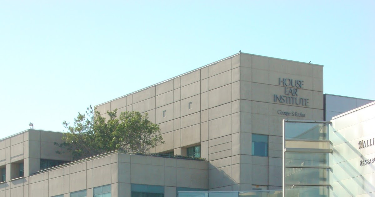 Dra Ângela Rúbia Otorrinolaringologia Minha experiência no HOUSE EAR