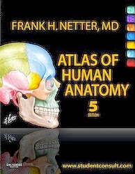 Atlas de anatomia yokochi preço