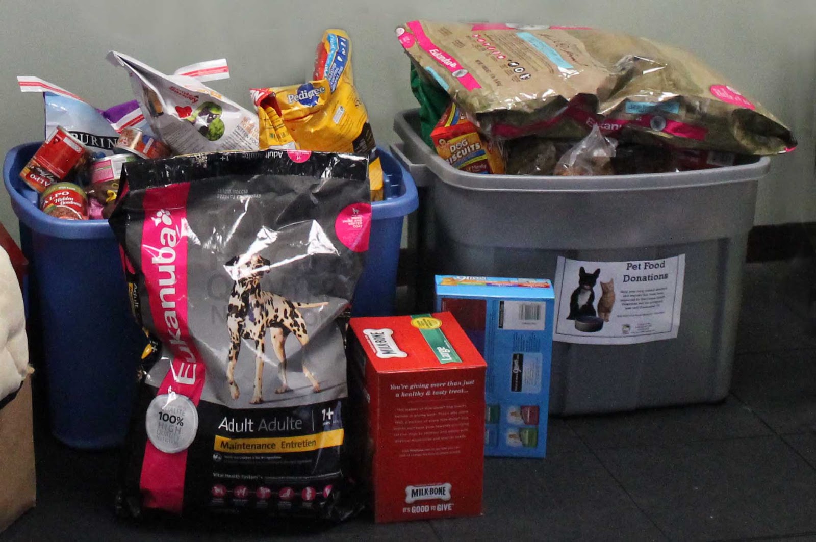 A Dog's Life November 2012