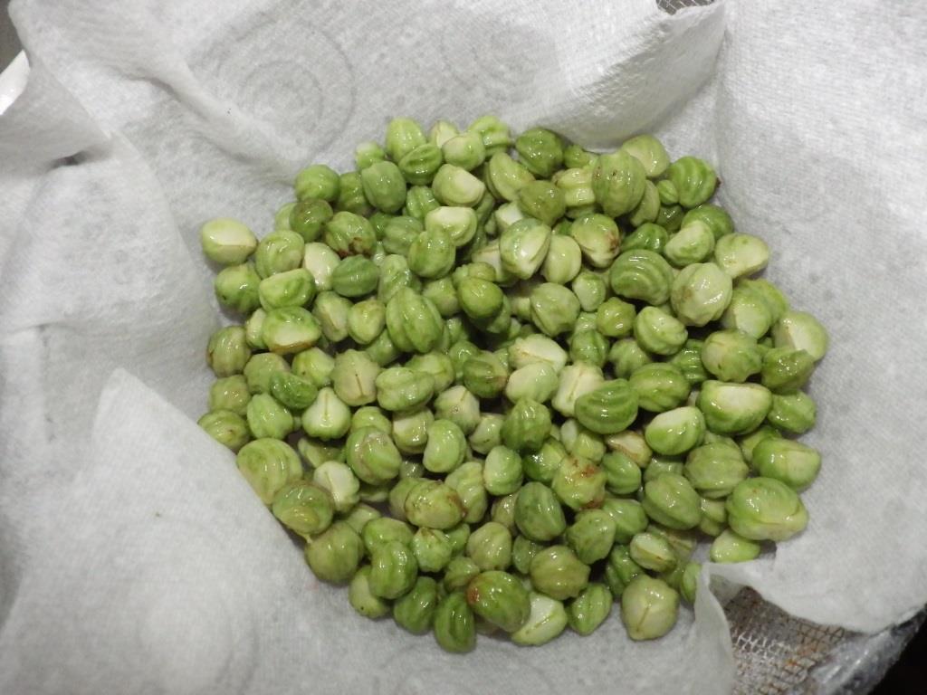 Tales from Swallow Farm Nasturtium Capers