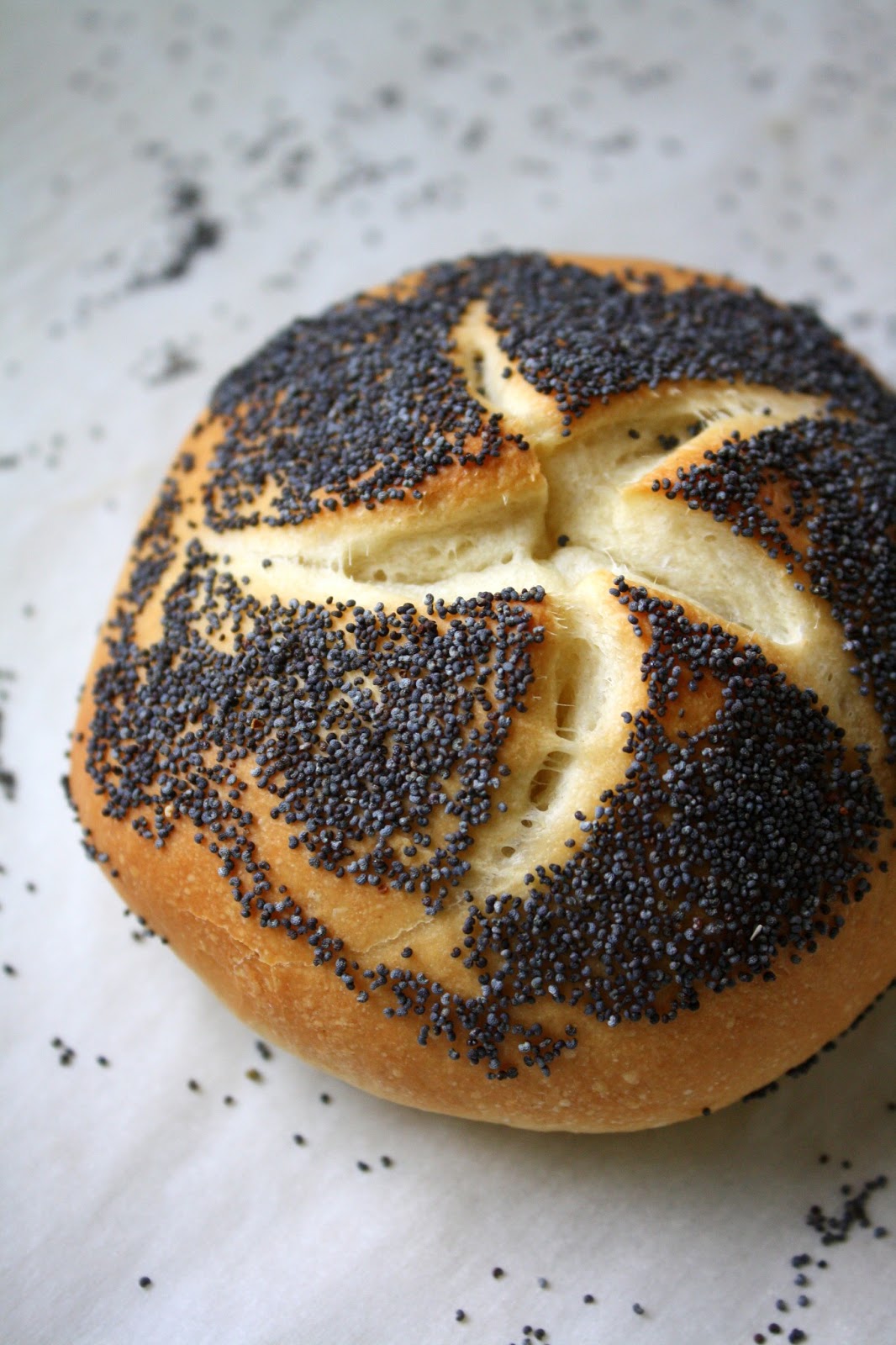 Jane's Sweets & Baking Journal New Years, Old Places, and PoppySeed