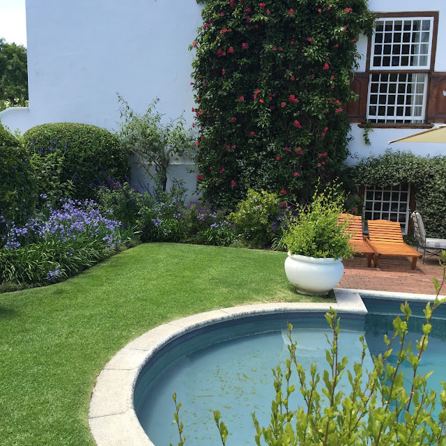 Roses and Rust: November 2015