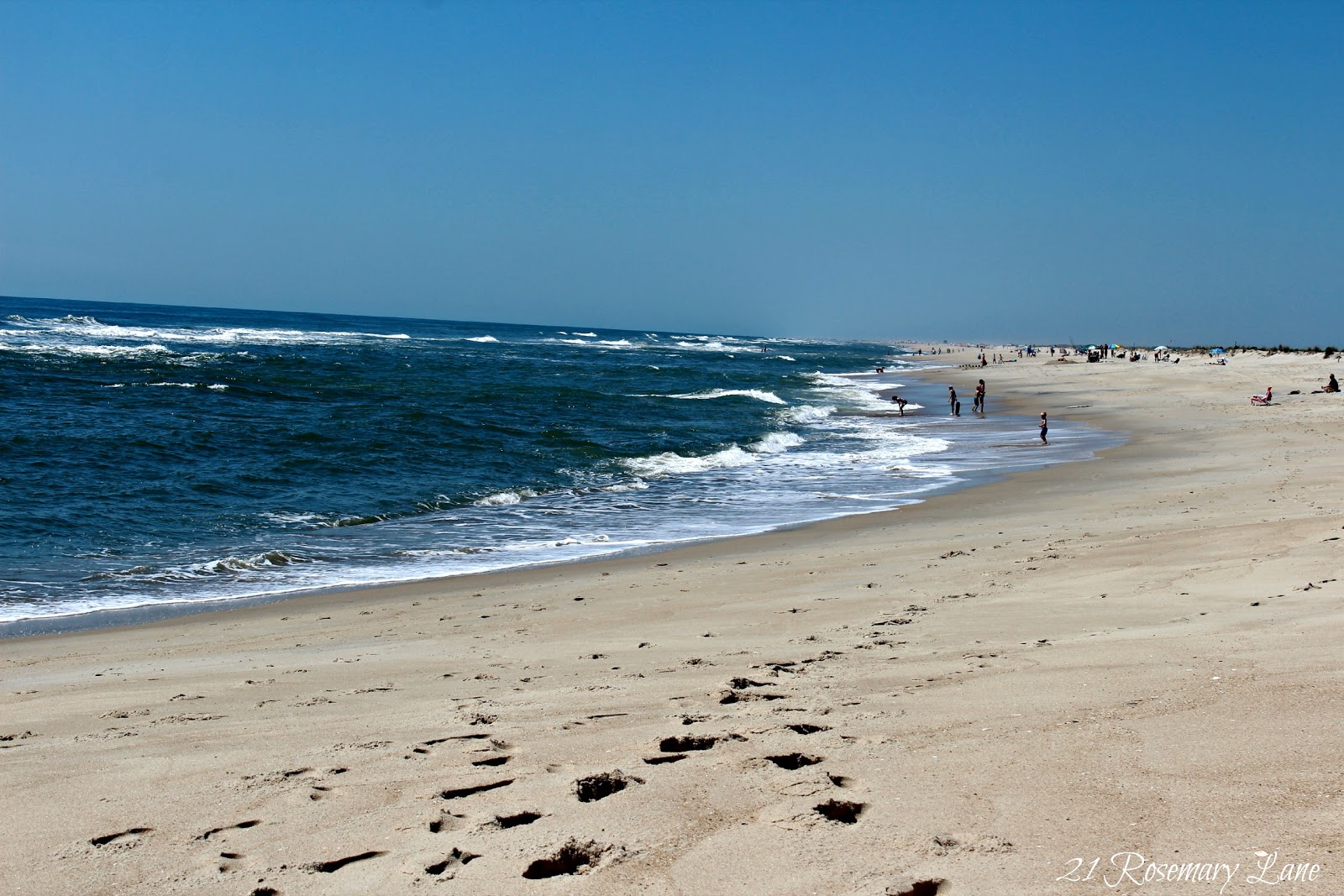 assateague campground assateague campground