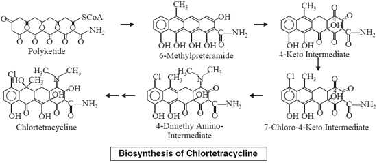  biosynthesis of chlortetracycline