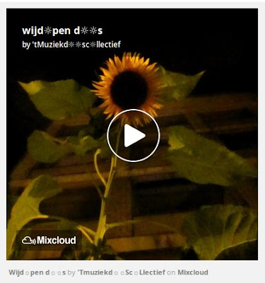 https://www.mixcloud.com/straatsalaat/wijdpen-ds/