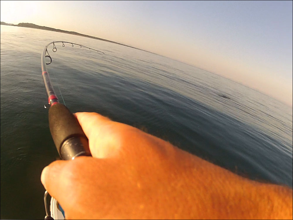 one more bait giugno 2013 one more bait giugno 2013