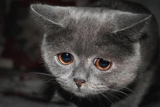 Disappointed.jpg