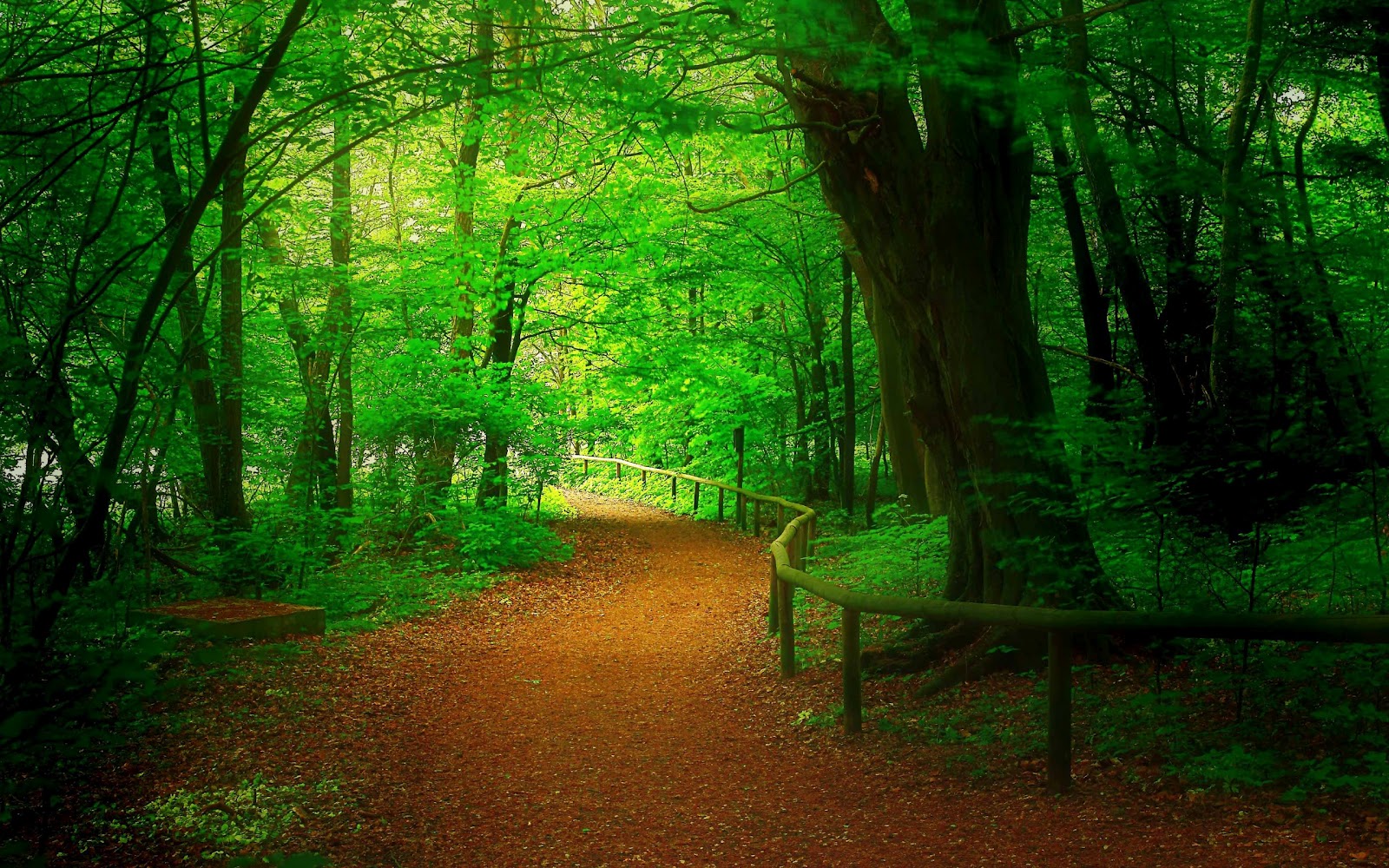 Top 35 Beautiful And Fabulous Paths Wallpapers In HD ...