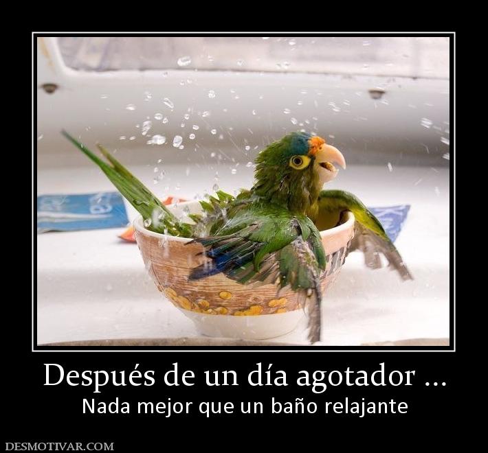 Imagenes Chistosas Relajantes | imagenes de ba 241 o graciosas dikidu com Imagenes Chistosas Relajantes | imagenes de ba 241 o graciosas dikidu com
