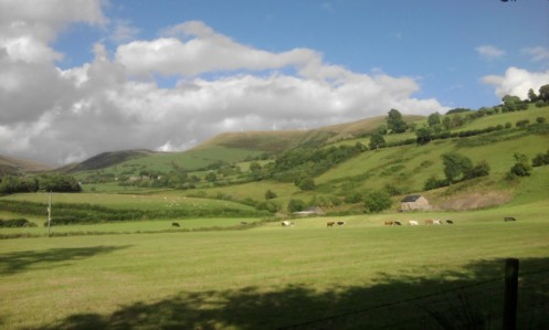 Fields around Ty Poeth