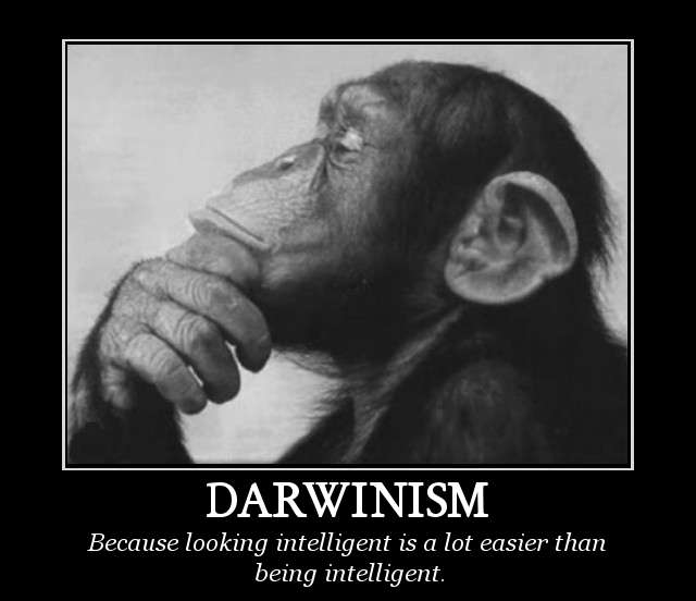 darwinism1.jpg