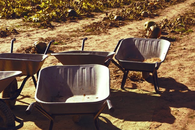 Wanderings A La Mode 2019