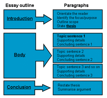 essay steps