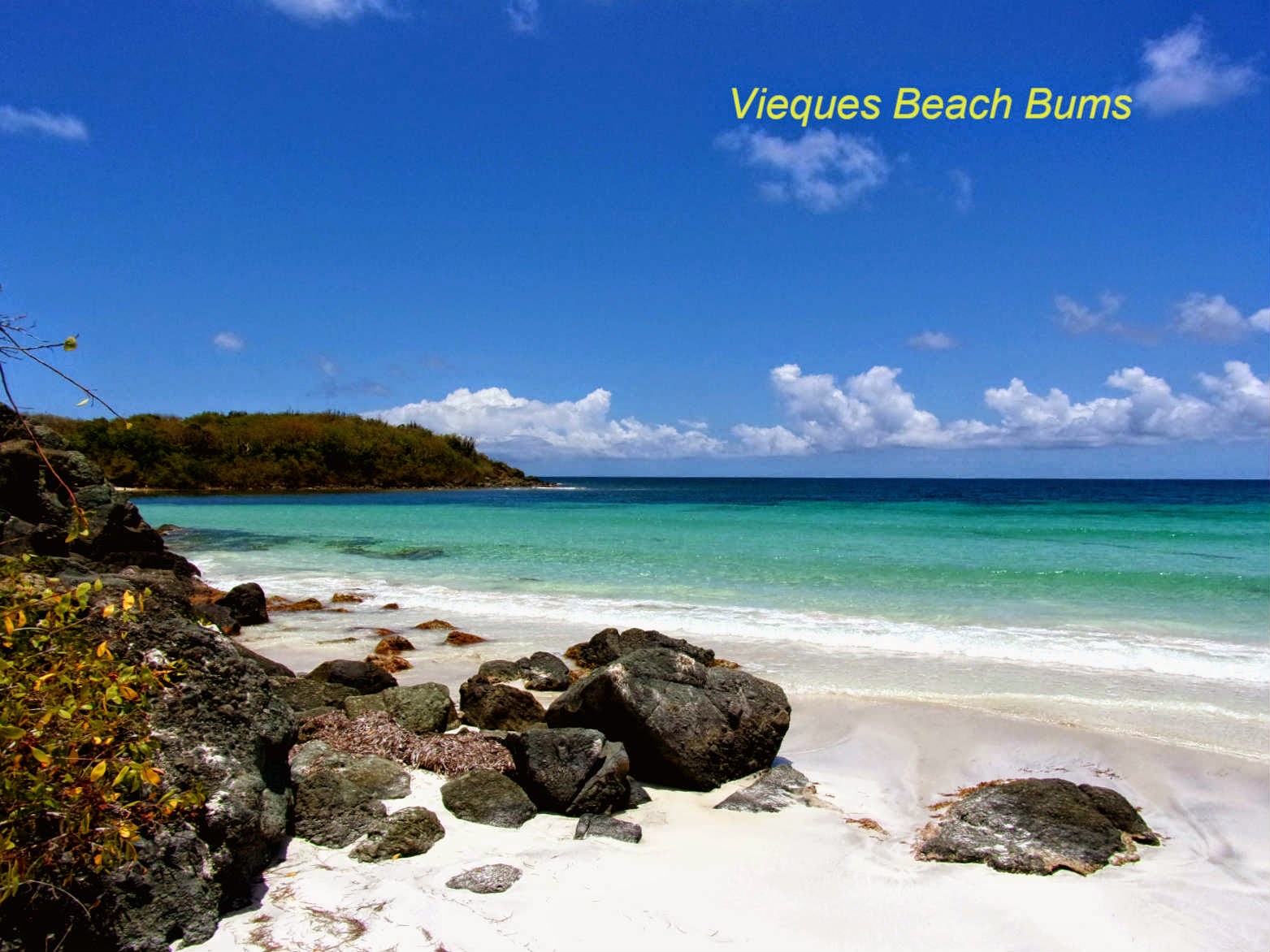 Vieques Beach Bums Vieques Island Safe for Travel Anytime! (No Worries