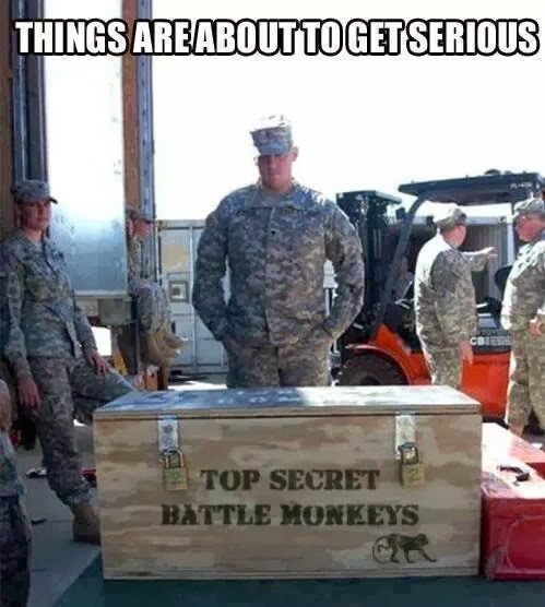 top+secret+battle+monkeys+dr+heckle+funny+military+pictures.jpg