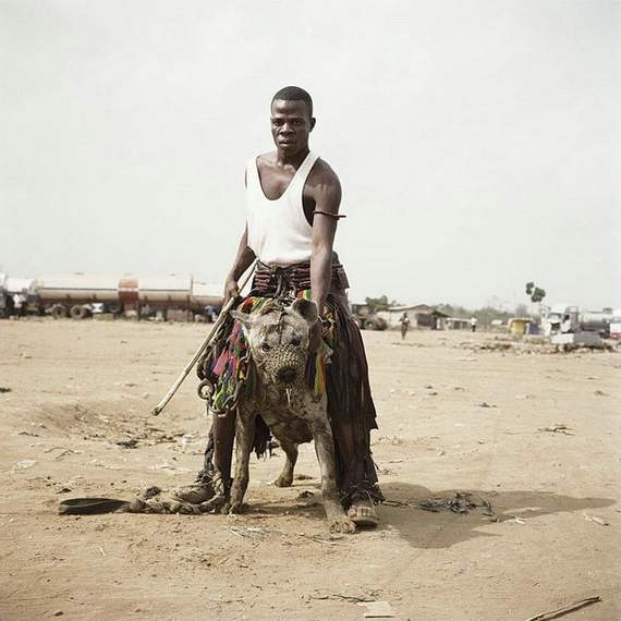 hyena+man+stickafrican-pets05.jpg