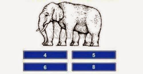 How many foot does this elephant have How many foot does this elephant have