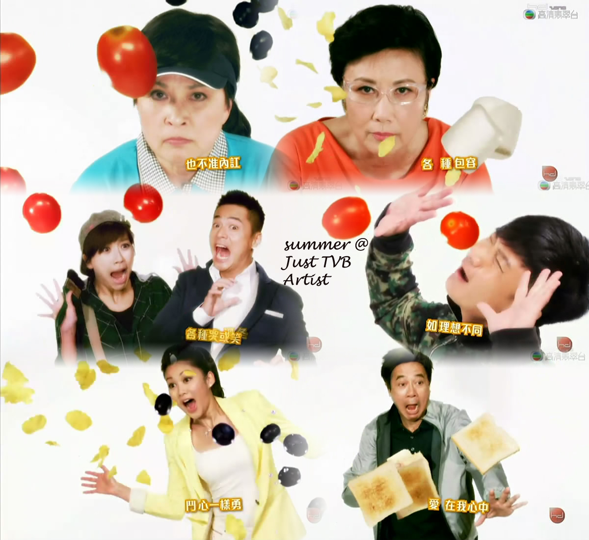 VH1 Original TV Shows, Reality TV Shows VH1