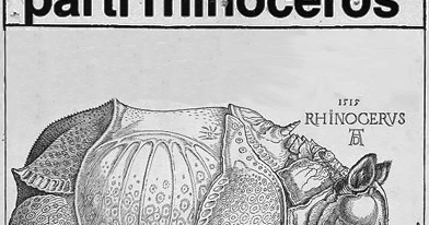 The Little Red Umbrella Fringe Party Profiles The Rhinoceros Party of