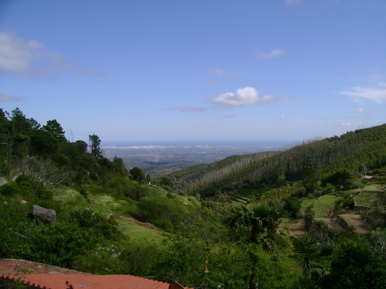 VERTENTE SUL DA FOIA COM VISTA PARA PORTIMÃO