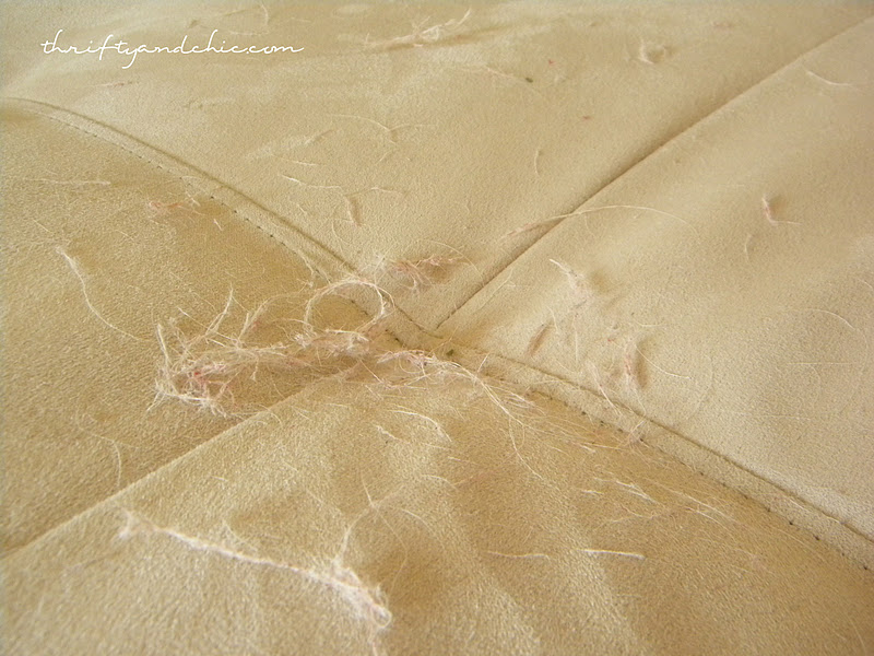 How Do You Get Dog Hair Off A Suede Couch