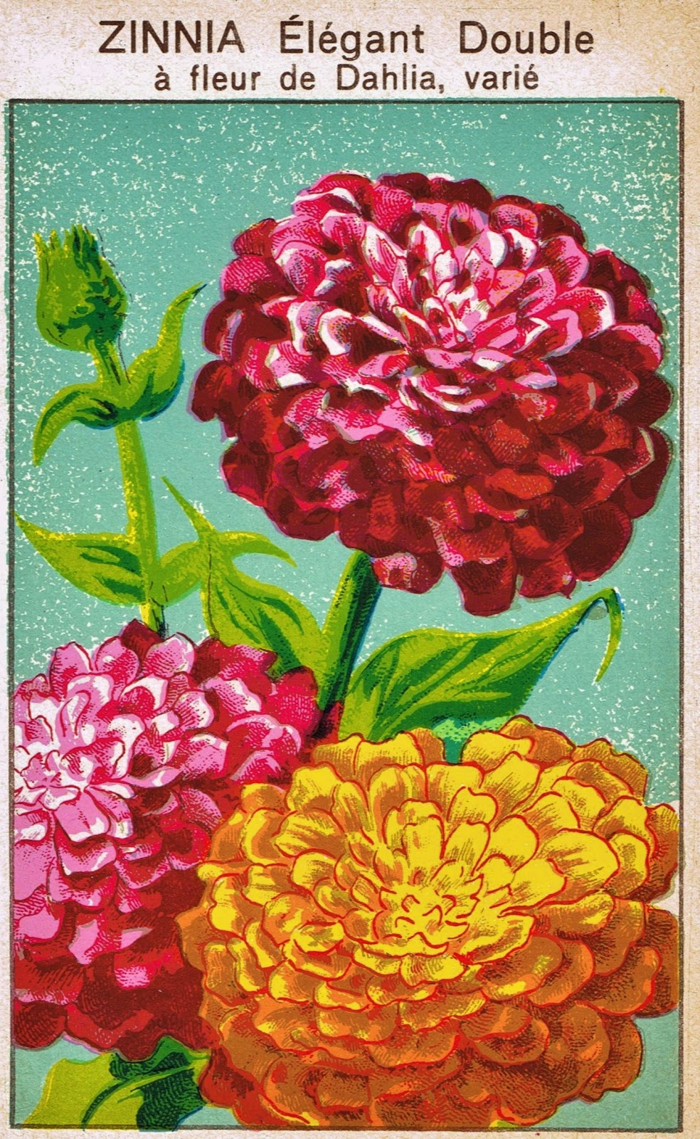 It is a photo of Dramatic Printable Images of Flowers It is an image of Dramatic Printable Images of Flowers