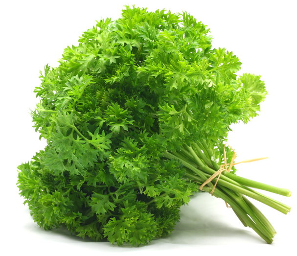 Hridya or Cancer Rog mein Parsley ka Prayog हृदय और कैंसर रोग में