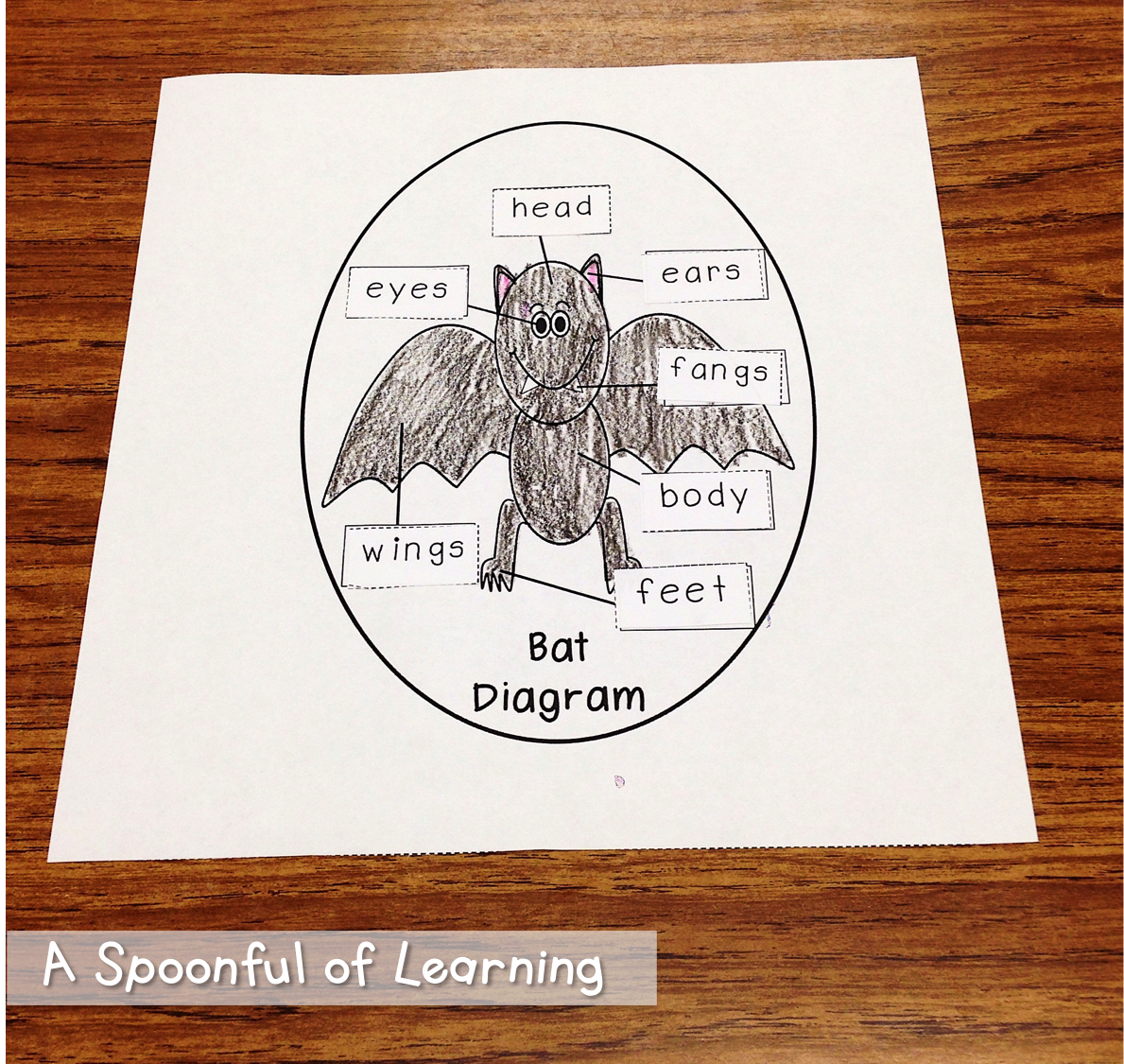 A Spoonful Of Learning  Bats  Part One