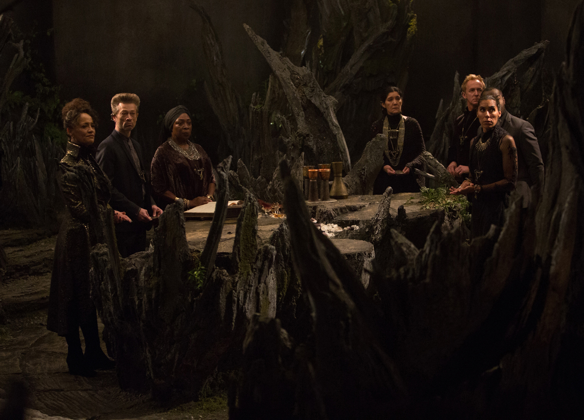 the last witch hunter cast members the last witch hunter cast members