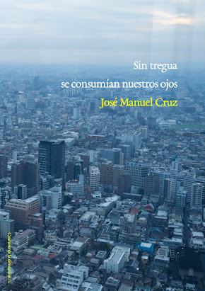 Portada de mi novela "Sin tregua se consumían nuestros ojos" (2013)