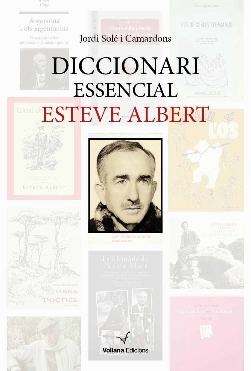 Diccionari Essencial Esteve Albert