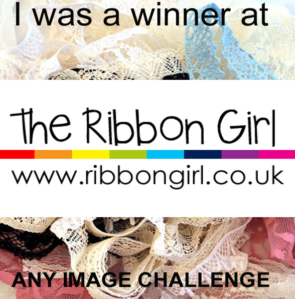 3rd Prize at the Ribbon Girl