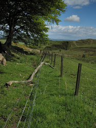 Section of the 'Asserted Right of Way across Cairnpapple Hill