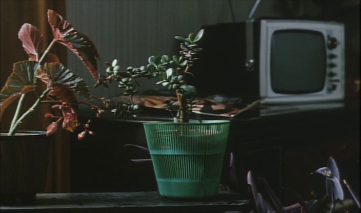 Modern Family s01e09 Episode Script SS