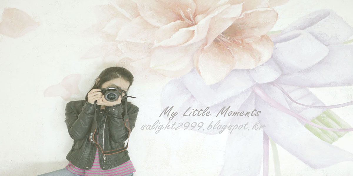 My Little Moments