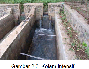 Info Terbaru Jenis Kolam Ikan Budidaya