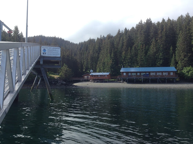 katchemak bay
