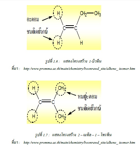 My Image 3