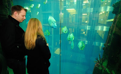 elevators unbelievable aquadom elevator berlin species almost sea different through which there blowing mind really
